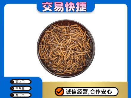 大连中山区高价回收散虫草